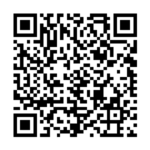 二十一世纪的人把她当成科学怪人送到试验室去研究二维码生成