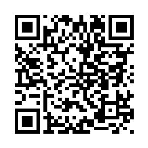 二十五六在开始自己的第一分工作二维码生成