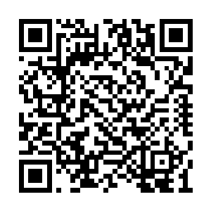 二十五息之后她就把这些人尊期修士甩在了后面二维码生成