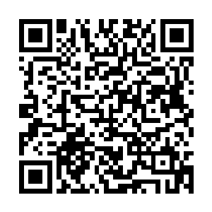 二十几个人在墨染般的竹林中展开了一场死亡游戏二维码生成