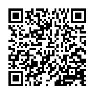 二十几个许家嫡系弟子融合成的巨人便被白熙颜给拍散了二维码生成