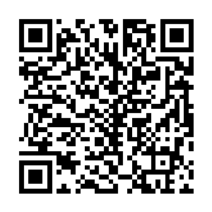 二十几里外的海面上密密麻麻一眼望不到边全是海洋魔兽二维码生成