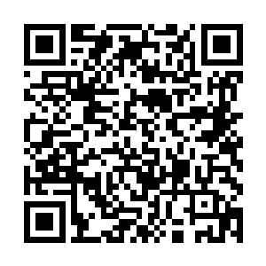 二十出头的孩子本应该在大学念书或者已经上班工作二维码生成