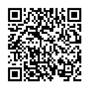 二十名帮厨在刘大枪的指挥下用刀将猪肉分切成一块块猪肉片子二维码生成