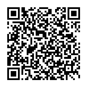 二十多个布设出来的十二诸象大阵化成了二十多个巨人僵立在空中二维码生成