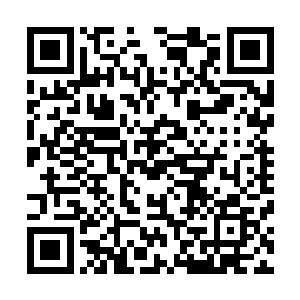 二十多个神君之下的精英也是崔不及防之下直接化成了尘埃二维码生成