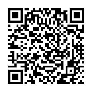 二十多亿丧尸密密麻麻的集中在两个狭小的地带之上二维码生成