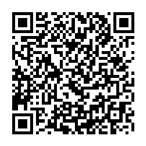 二十年前自己门内的老祖桐冠道人带着一众元婴老祖进入金鼎玉宫的时候二维码生成