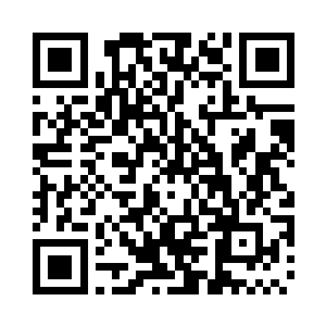 二十枚地元果全都是百年左右药龄的二维码生成