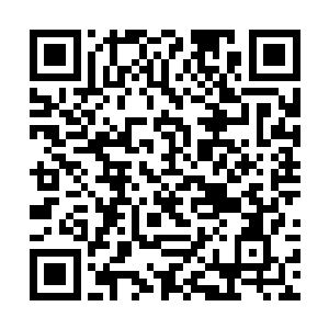 二哥你莫非从一开始就没想过告诉师儿他真正的身份二维码生成