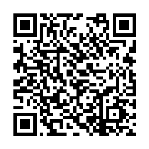 二太太见自己好不容易才让老太爷怀疑上柳记药铺二维码生成