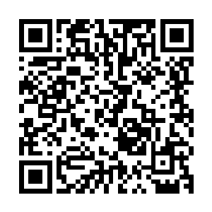 二女还是第一次这么近距离地感受到杨辰过去生活所留下的影子二维码生成