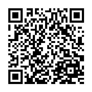 二字到醉卧怅然和悟死参玄交换眼色这短短五秒不到的时间里二维码生成