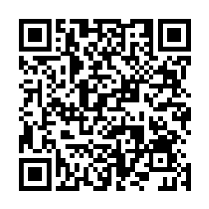 二审的关键是常雨泽发到网上的日记是不是郑卫华亲手所写二维码生成