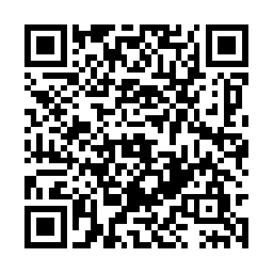 二宫主……也在这……不会……放过……你们……二维码生成