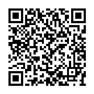 二师兄……哦不……是奥因克……就突然出现了二维码生成