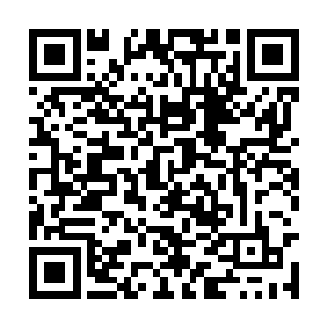 二师兄辛兆仑和三师姐戚梅云抢到这个难得的机会二维码生成