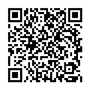 二排十七号包间的人刚出去就被杨俊他们跟上了二维码生成