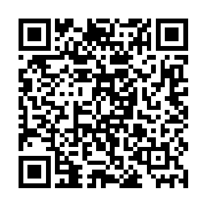 二星上古巨兽的实力已经不是普通人可以伤害到的了二维码生成