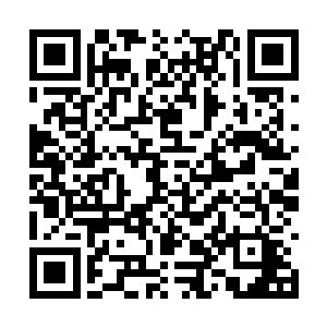 二是协助魏宏师兄斩杀青锋剑派和青水剑派的弟子二维码生成