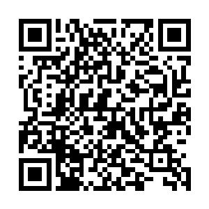二是在出去挖菜或者摘果子的时候遇到小型动物也可以打猎二维码生成