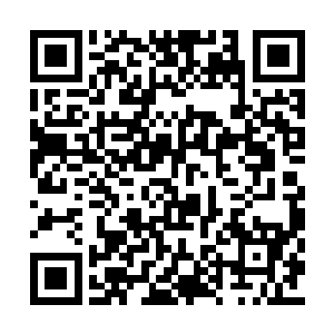 二木已经将大殿内的文字和图腾全都拓印下来了二维码生成