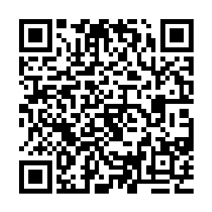 二来也是因为于正来自于龙国……只是没等他像于正发起挑战二维码生成