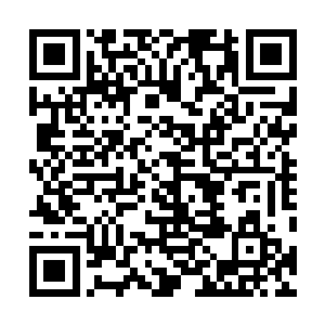 二来也是想看看神树进化成另外一种形态到底是什么样子二维码生成