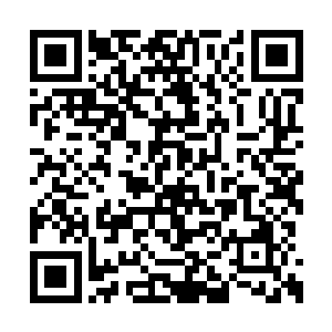二来也是看看陆元昊有没有什么东西暗暗留给她二维码生成