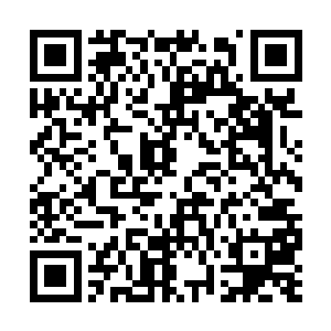 二来也给师伯我好好介绍介绍你这些朋友的来历吧二维码生成