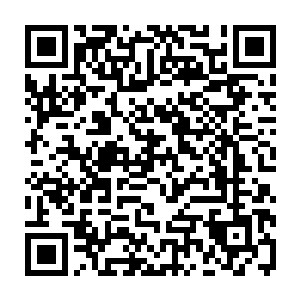 二来则是陈诚从踏上这个比赛舞台的第一天起就确立了自己的游走型打法二维码生成