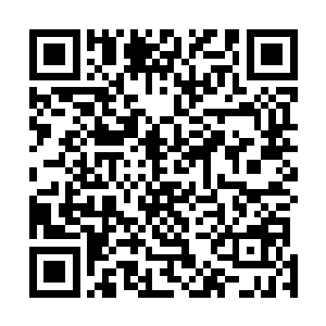 二来因为贝海知道自己空间里的食素的鱼挺喜欢吃桃子的二维码生成