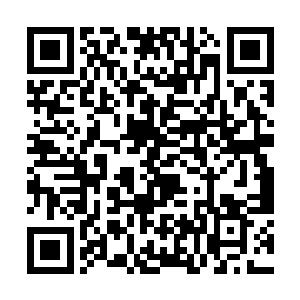 二来超强的学习能力让他对枪术的掌握大大超过了白二维码生成