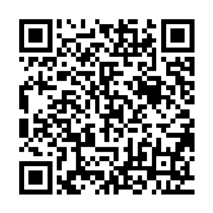 二楼的观众可以清晰地看到这两只虚幻的灵兽那无比凶悍的眼神二维码生成