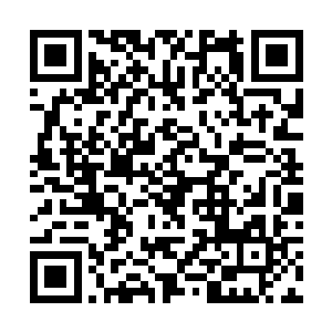 二步大帝初阶的力量果然要比一步大帝极限强大许多二维码生成