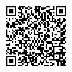二毛和三毛是母犬又晚了一些时日出生现在肩高小一点儿四十四五的样子二维码生成