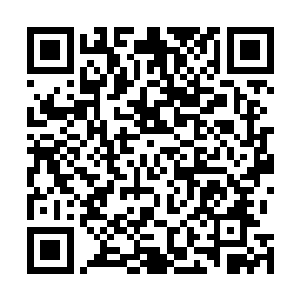二毛是三毛加一起估计能过个六条小狗就算是超出指标了二维码生成