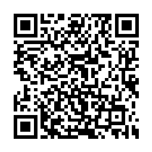 二百七十七号欢天喜地的从灌木丛里奔跑了出来二维码生成
