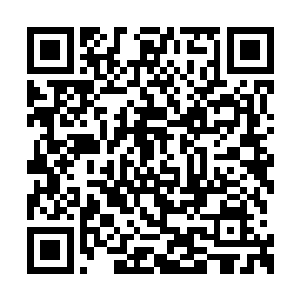 二的一半的一半……二的一半的一半的一半……二维码生成