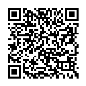 二者的人生在这个时间点上也许还没有太多不同二维码生成