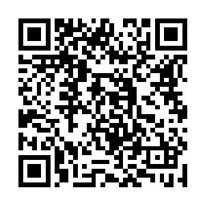 二者的身形和气势都能在这短暂的动作之中看着不同二维码生成