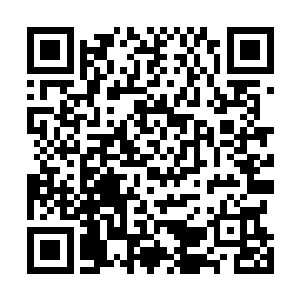 二话不说就把自己这么多年的绝学全都告诉了自己的女儿二维码生成