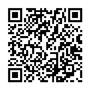 二货伺候起这两个小祖宗却是大大的得心应手的二维码生成