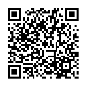 二货和小乖明显也很喜欢肉嘟嘟的小龙和小凤凰二维码生成