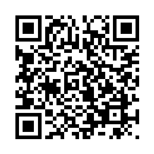 二货眼睛瞪得滚圆地看着地上的这些奇怪树根二维码生成