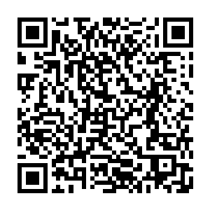 二货究竟怎么折磨小乖的……能够让小乖这么傲气的鸟儿到这种地步……二维码生成