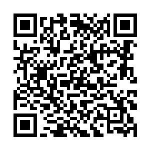 二长老和三长老两人和你们泰鸿家族究竟是什么关系二维码生成