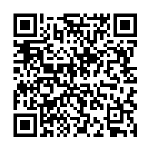 二长老和三长老在多年前就已经被我们泰鸿家族收买二维码生成