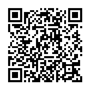 于天和节目主持人李静胡一虎只能恭送他们离开二维码生成