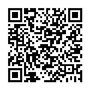 于思宇抱着小茹珊重重的在她的小脸蛋上亲了一口二维码生成